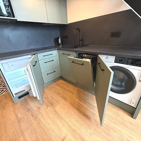Moss Loft In Centre Self Check-in Вильнюс