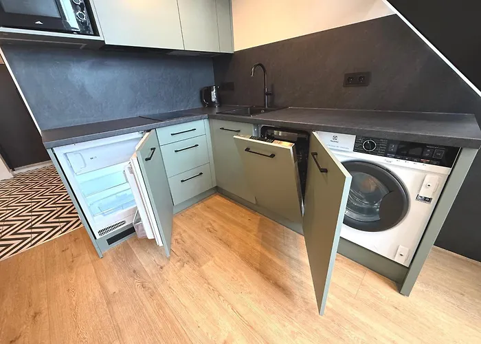 Moss Loft In Centre Self Check-in Vilna